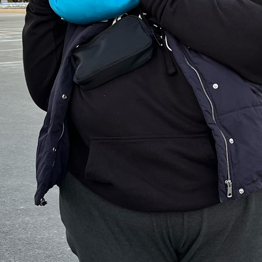TNA belt bag from Aritzia